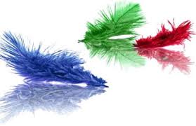 اصول استفاده از رنگها در طراحی سایت