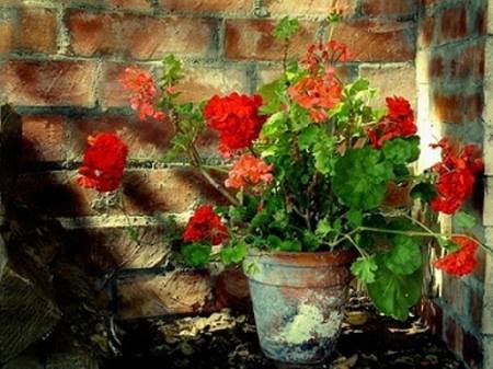 اونجایی بهشته که