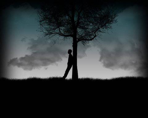 هنوز هم نمیدانم اینجا چه فصلیست ، که من کال ماندم و به تو نمی رسم !